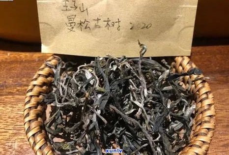 曼松普洱茶原型：探索云南古树茶的 *** 工艺、品质特点与品饮技巧