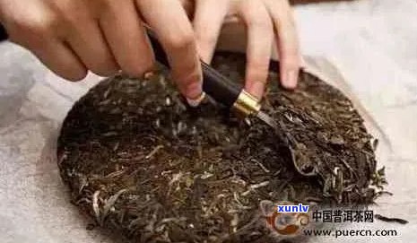 普洱茶饼如何完全散开：步骤、技巧与注意事项