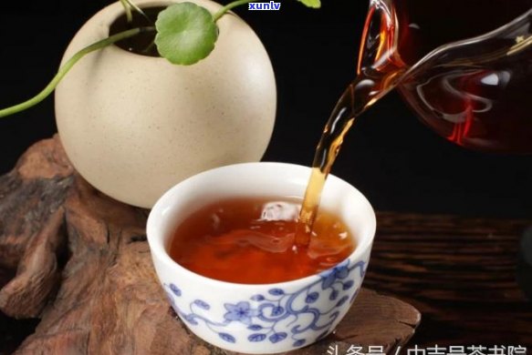 新 '普洱茶饮用节探讨：何时品味最适宜？'