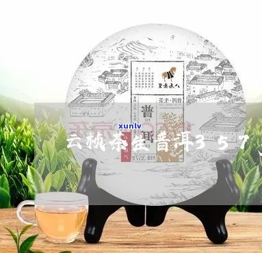 云桢号普洱茶：版纳风情与原生态味的完美融合