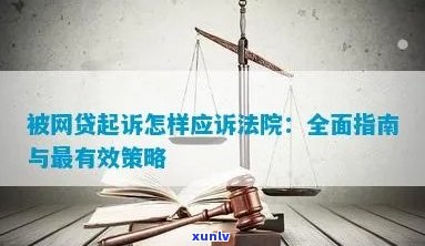 被金融起诉结案了怎么应对