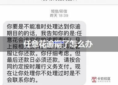 任性贷逾期通讯录报告