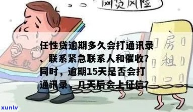 任性贷逾期通讯录报告