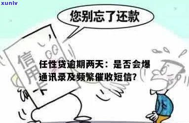 任性贷逾期通讯录报告