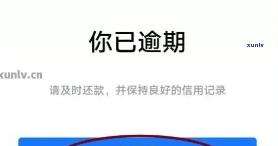 厦门支付宝借呗逾期