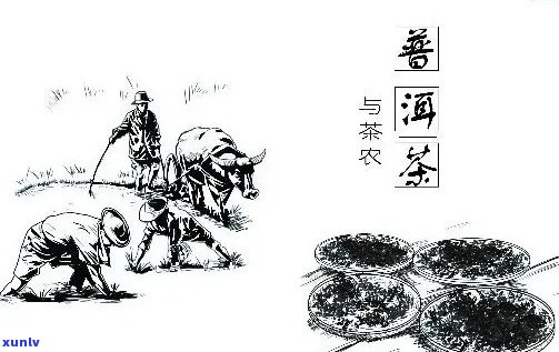 普洱茶与国画的融合：茶墨丹青新篇章