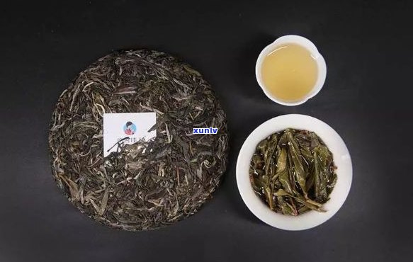 冰岛茶特：普洱茶欣怡茶价格，品质与价值的完美融合