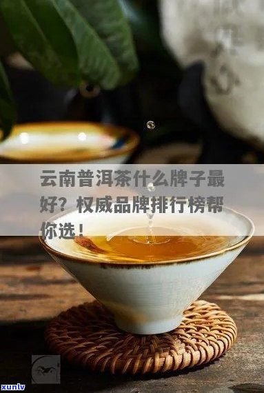 云南普洱茶特卖：哪些牌子好？