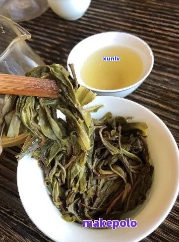 云南普洱茶叶：全面了解与挑选指南，让你轻松找到最适合的茶叶