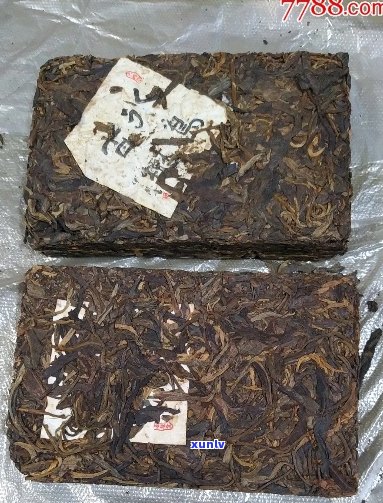 冰岛古树茶老茶砖