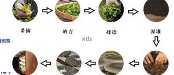 普洱茶做成绿茶工艺