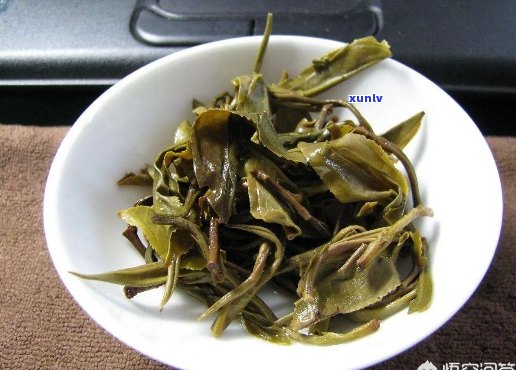 茶底辨别普洱茶好坏