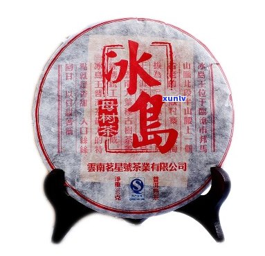 冰岛母树茶王普洱茶蜜香浓