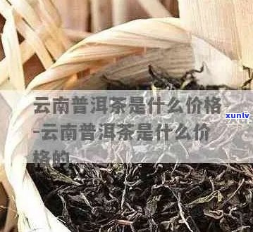 普洱茶叶市场能还价吗