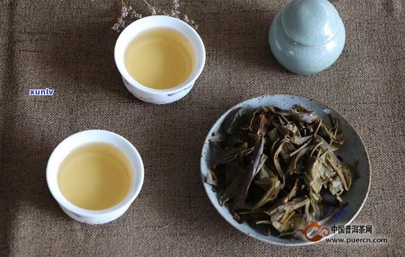 普洱茶新茶有水味怎么回事