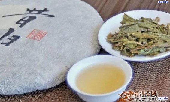 邦东茶区昔归茶