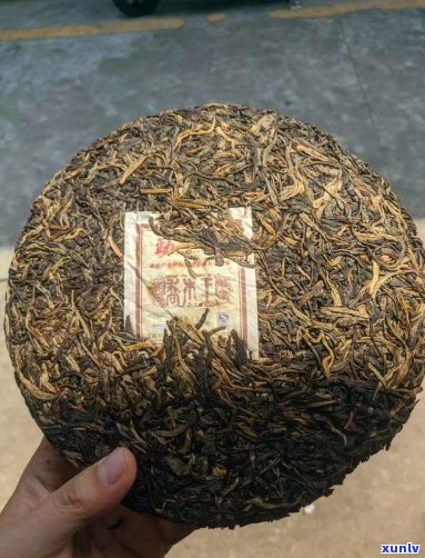 5公斤的普洱茶好吗吗能喝吗