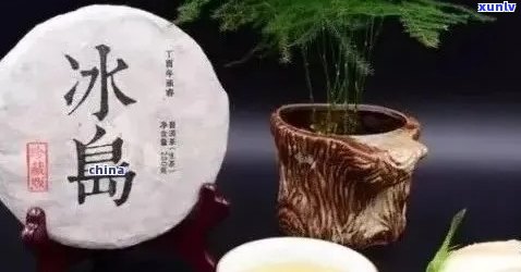 冰岛茶能泡几泡