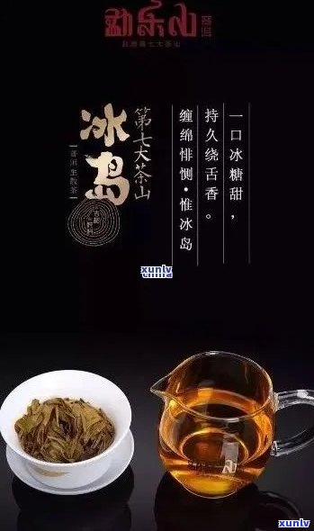 冰岛茶能泡几泡