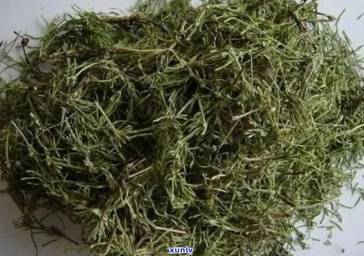 玉金草茶的功效