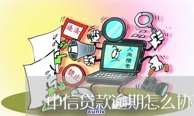 中信信用贷停息分期如何协商