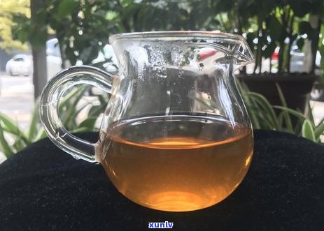 古树紫芽普洱茶2017