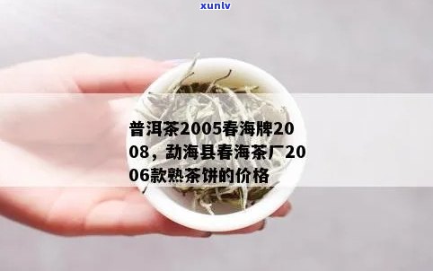 春海茶厂普洱茶直播