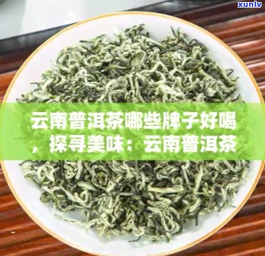 云南普洱茶绿茶哪个好