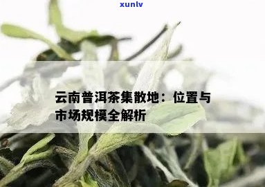 云南普洱茶的三大市场