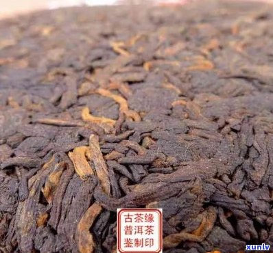 普洱茶熟茶名字