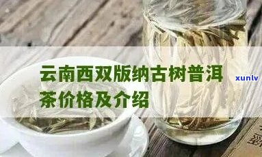 云南西双版纳茶叶价格