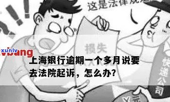 上海银行贷款逾期被起诉