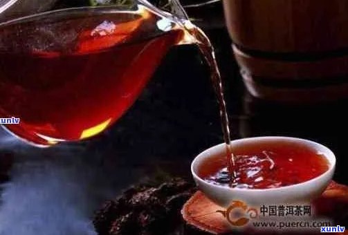 熟普洱茶用什么器皿