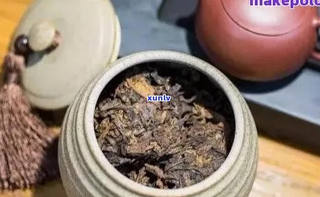 熟普洱茶用什么器皿