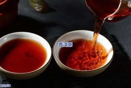 熟普洱茶用什么器皿