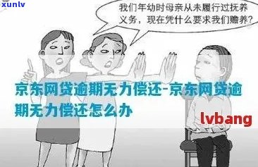 金东网贷无力偿还怎么办