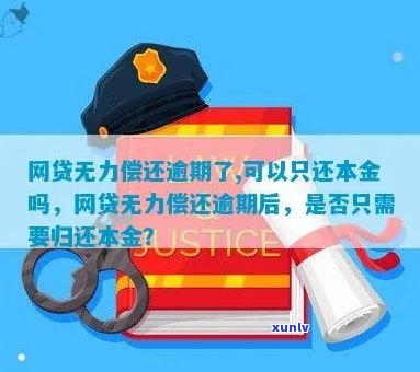 金东网贷无力偿还怎么办