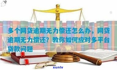 金东网贷无力偿还怎么办