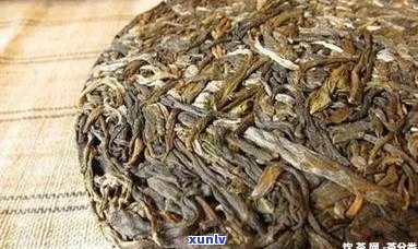 水印普洱茶是什么茶