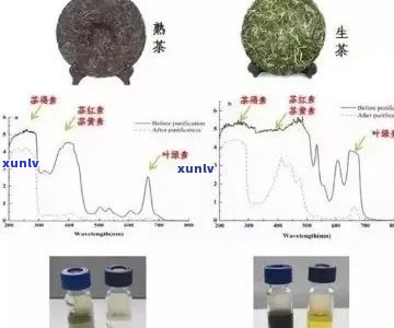 重庆普洱茶重金属超标