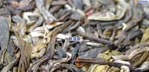 普洱茶梗有什么用