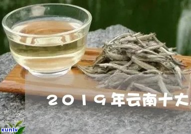 云南普洱茶前十大