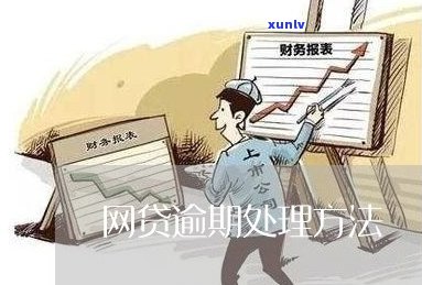  *** 贷款逾期被的后果及解决办法