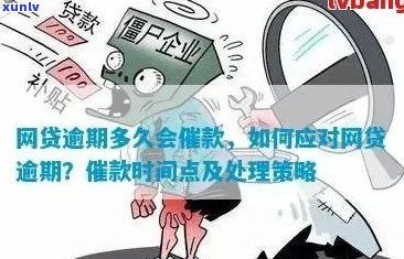  *** 贷款逾期被的后果及解决办法