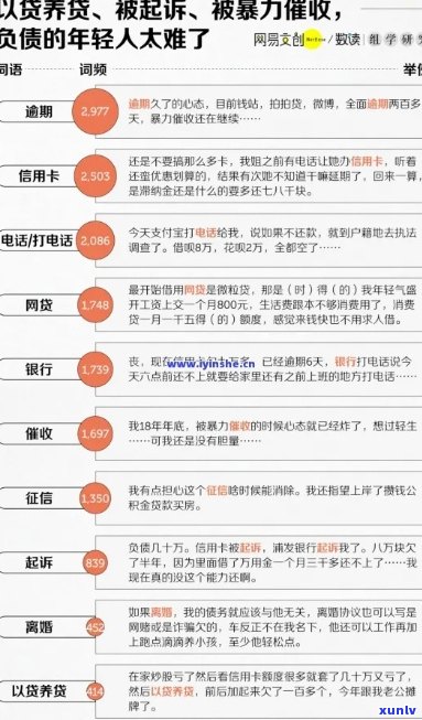  *** 贷款逾期被的后果及解决办法