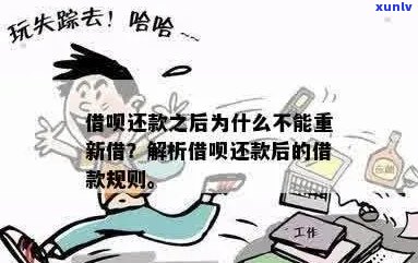  *** 贷款逾期被的后果及解决办法