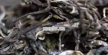 普洱茶之一泡有点甜苦正常吗