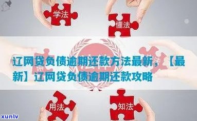 辽省逾期怎么办如何解决