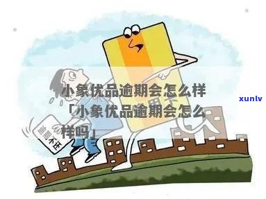 小象优品逾期一年多应该如何处理