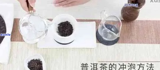 黑珍珠普洱茶怎么泡好喝